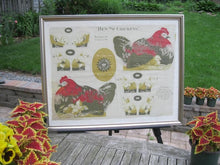Load image into Gallery viewer, 1892 Arnold Print Works "Hen and Chickens" Cloth Panel, Uncut, Framed