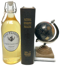 Load image into Gallery viewer, Organic Castile Soap, Olive Oil + Coconut Oil Liquid Soap